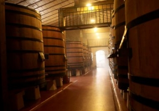 Visitas guiadas al interior de la bodega.jpg